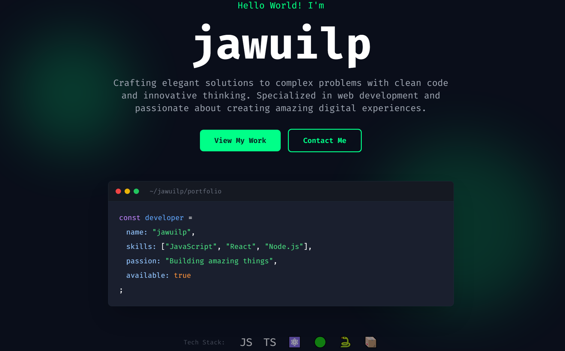 Portfolio Dev - Developer Template